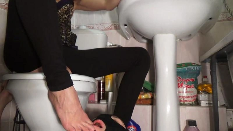 Mistress Emily Emily scat living toilet [FullHD] (2021)
