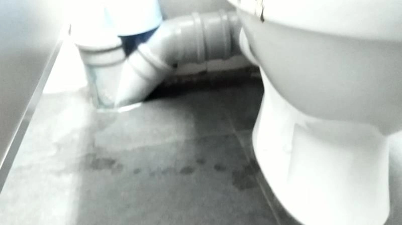 nastygirl Diarhea and pee in WC [FullHD] (Scatshop/2021)