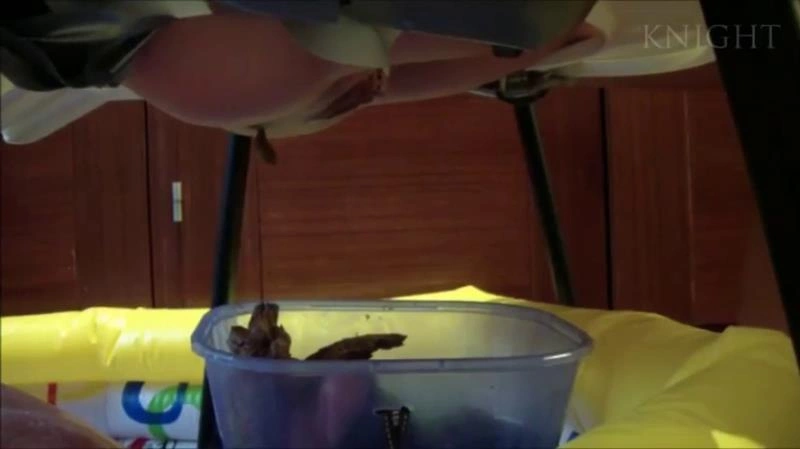 Young Girls Poop From Chair On Slave In Pool P1 [SD] (2025)