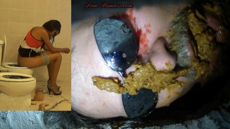 Scatmania Men Trapped In Toilets Get Used - Now You're Officially A Toilet [UltraHD/4K] (2025)