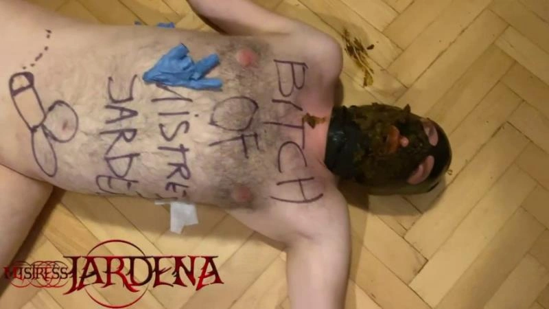 Masacrated Slave bitch on first toilet session feeding shit P1 [HD] (2025)