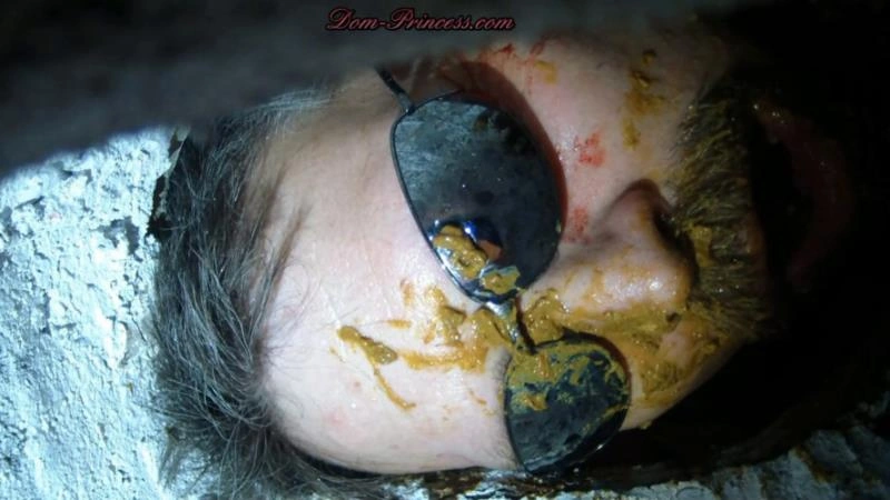 Scatmania Now You Are Officially A Toilet Part 8 Andrea Hd [HD] (2025)