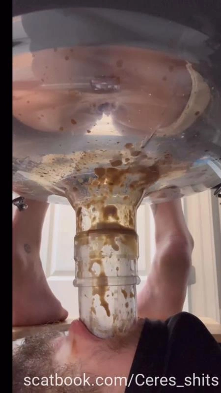 A Day of Shitting Down My Toilet's Throat P1 [SD] (2025)