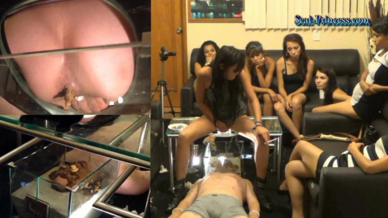 Alexandra Scatmania Solid Rock Combination Please Stop Aaah Heeelp Part 07 [FullHD] (2025)