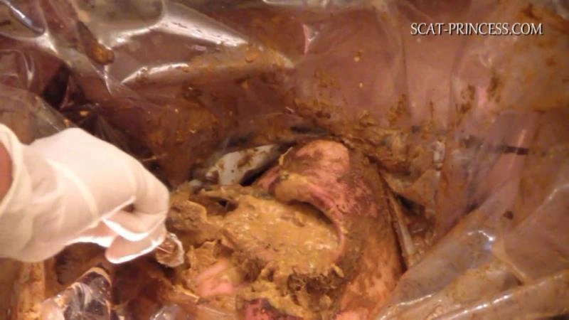 Scatmania Underground Toilet Slave Part 5 Sc M St [HD] (2025)