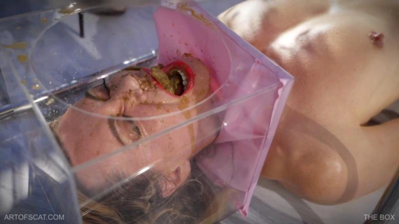 QS, NAZRYANA THE BOX [FullHD] (2025)