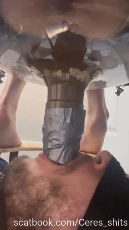 Toilet Annihilation with Goddess Ceres P1 [SD] (2025)