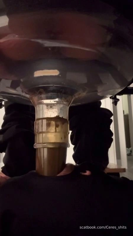 Goddess Ceres-2025-10-19 - Toilet Swallows All My Waste For The Day [SD] (2025)