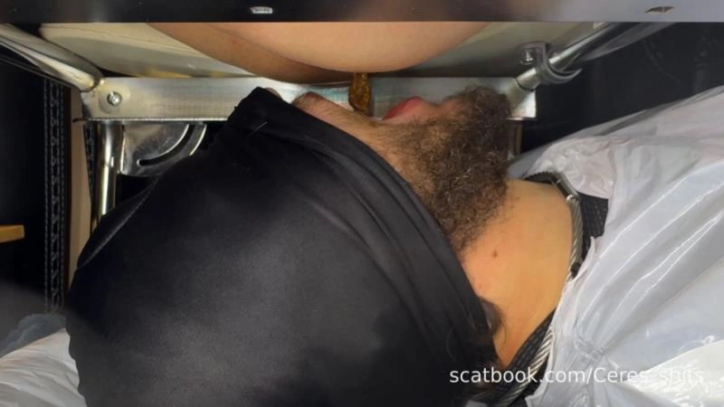 Goddess Ceres 2025-11-15 - Shit I Took The Other Night - Direct [FullHD] (2025)