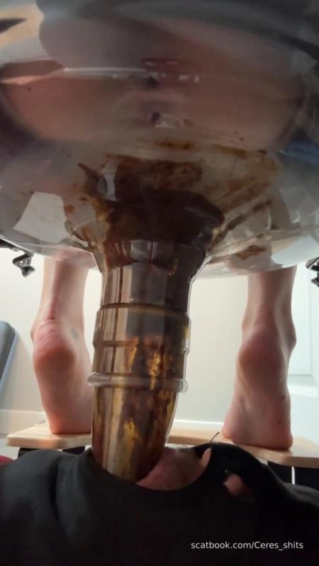 Goddess Ceres Daily Toilet Torture » Mixfemdomcc - Latest Femdom Porn for Online Streaming [SD] (2025)