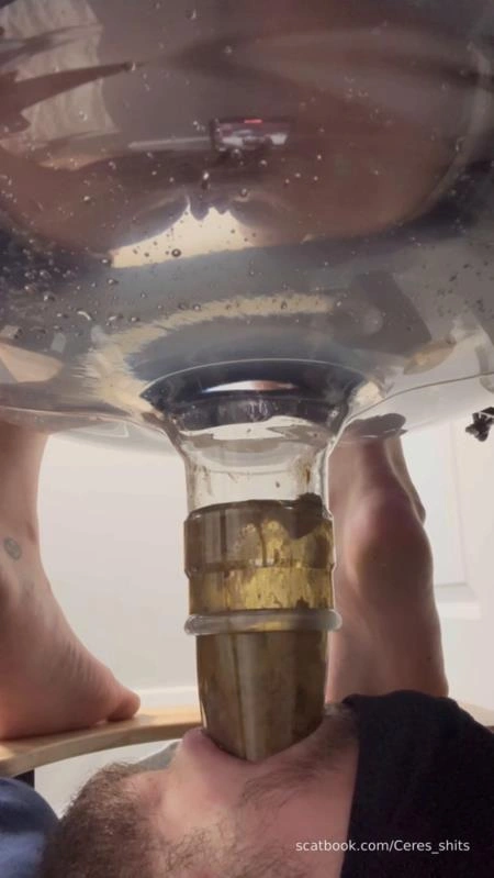 Goddess Ceres Human Toilet's First Malfunction Infinite Shit Down Your Throat » Mixfemdomcc - Latest Femdom Porn for Online Streaming [SD] (2025)