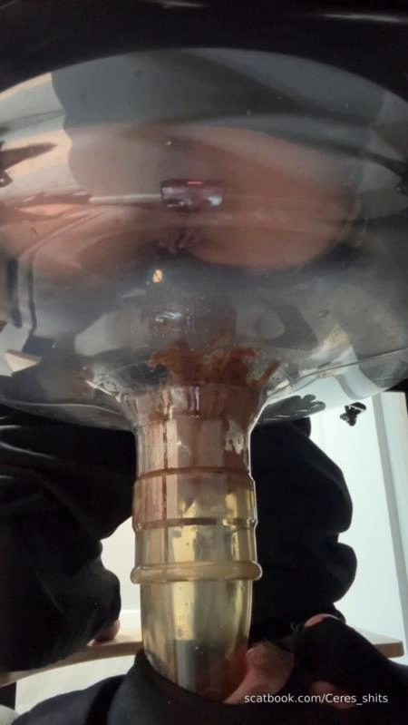 Goddess Ceres 2025-11-13 - A Quick Shit Down My Septic Tanks Throat [SD] (2025)