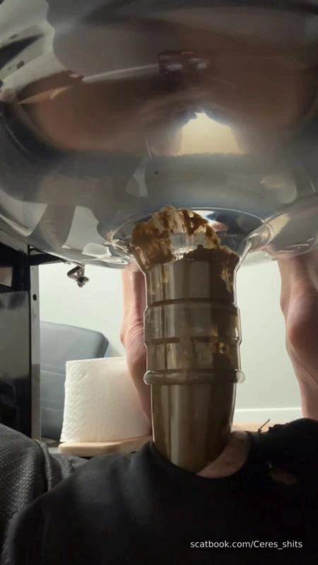 Daily Toilet Torture P1 [SD] (2026)