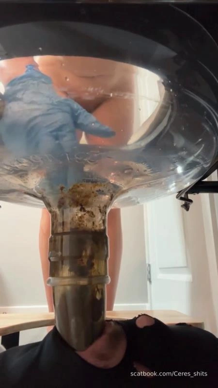 24 Minutes of Daily Toilet Slave Destruction P1 [SD] (2026)