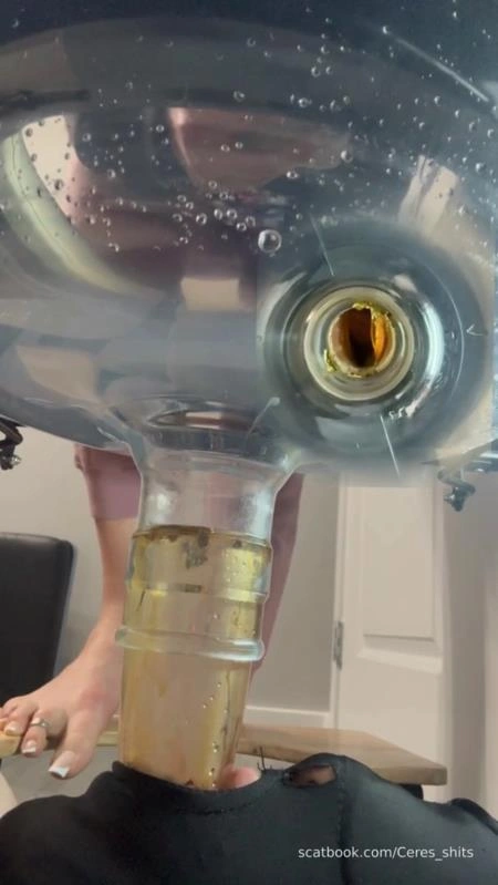 Septic Tank Almost Fails P1 [SD] (2026)