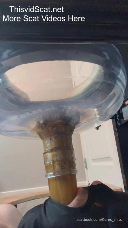 Goddess Ceres Toilet Slave Orgasm Control Single Angle P1 [SD] (2026)