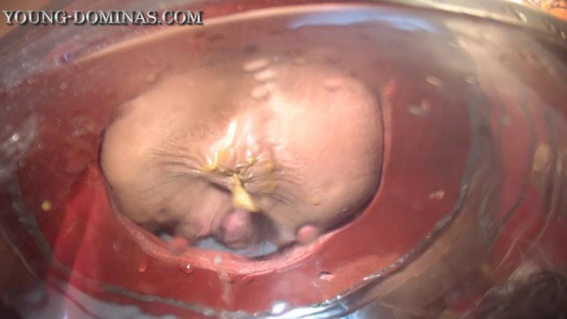 The Poop Barril Part 3 HD. P1 [HD] (2026)