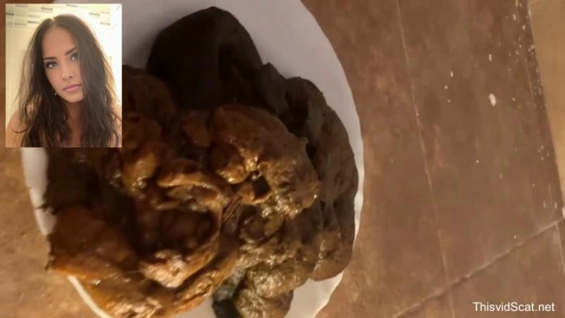 A huge pile of shit goes into the toilet. P1 [HD] (2026)