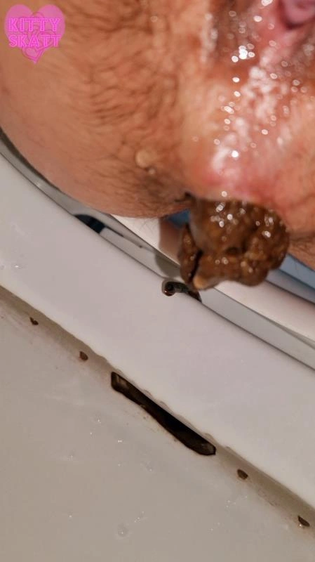 Four unflushable logs [SD] (2026)