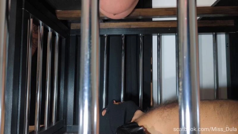 MISS DULA My Poop In His Mouth » Mixfemdomcc - Latest Femdom Porn for Online Streaming [FullHD] (2026)