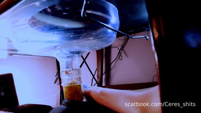 A Private Session with My Toilet [FullHD] (2026)