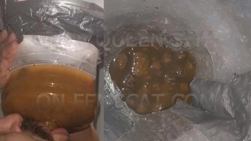 2 Scenes - On all Fours, Vile Diarrhea [HD] (2026)