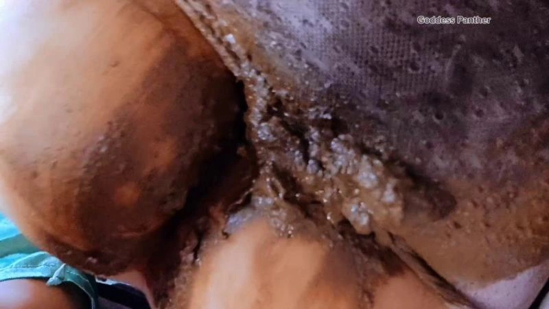 thefartbabes Huge Panty Poop Lover [FullHD] (2026)