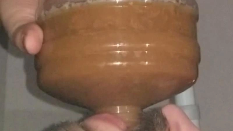 SSBBW Queen Siya Chugging LITERS of my poop-flavored pee [HD] (2026)