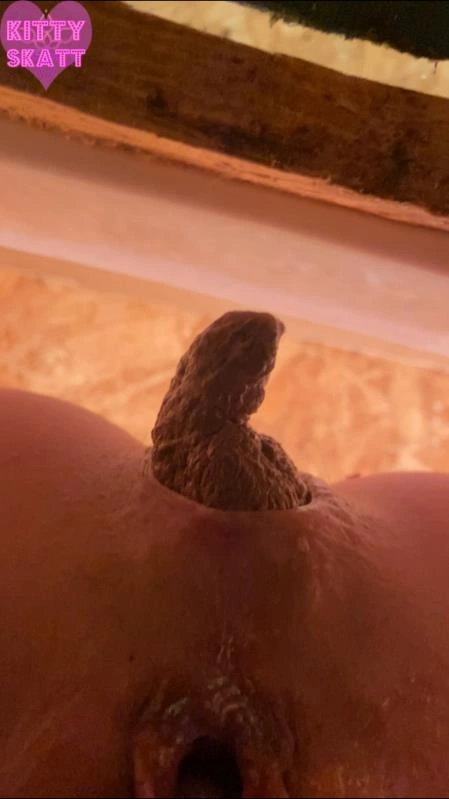 Kitty Skatt POV hookup in festival toilet [SD] (2026)