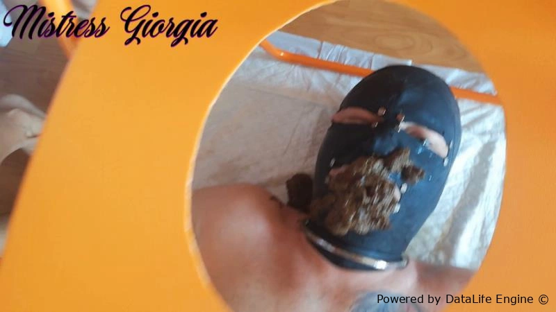 Mistress Giorgia morning shit » Mixfemdomcc - Latest Femdom Porn for Online Streaming [FullHD] (2026)