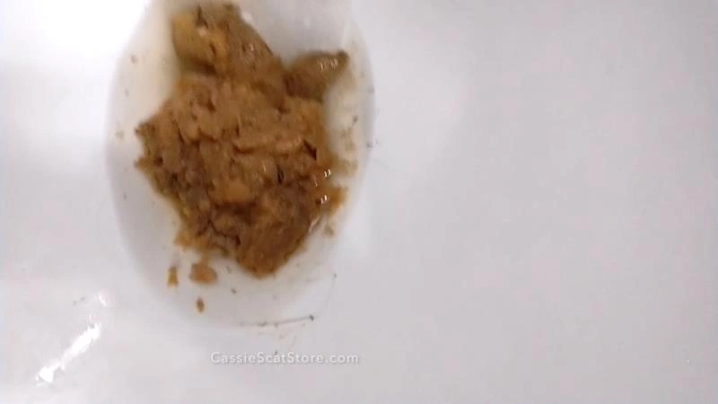 CassieScat Holding in a Shart Explosion – The Recipe for Rank, Juicy F… [FullHD] (2026)