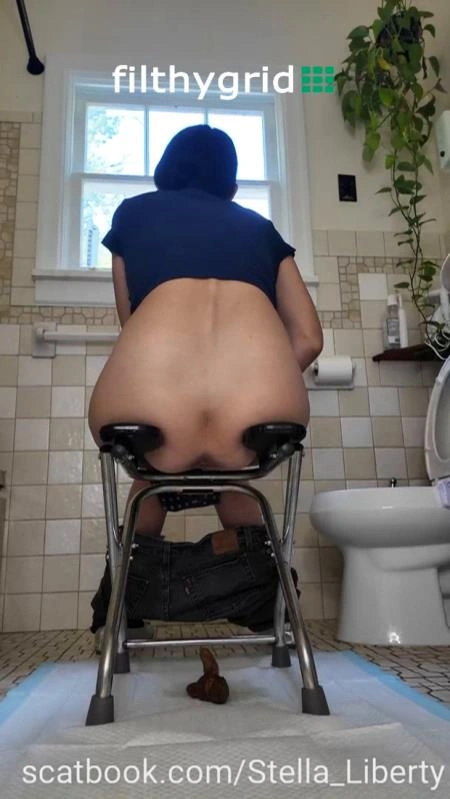 Number Two with the Toilet Chair [SD] (2026)